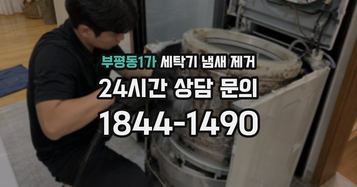 부평동1가 세탁기 냄새 제거