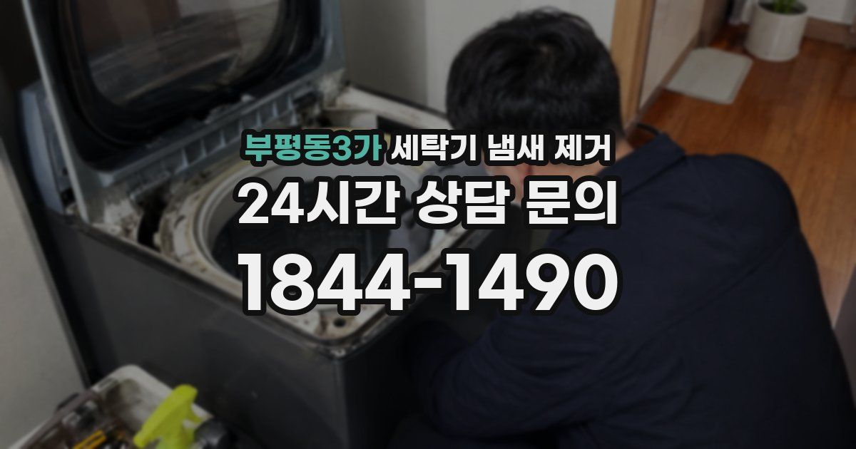 부평동3가 세탁기 냄새 제거
