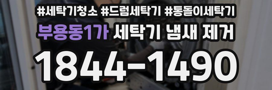 부용동1가 세탁기 냄새 제거
