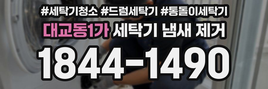 대교동1가 세탁기 냄새 제거