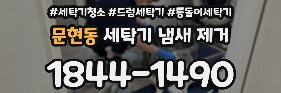 문현동 세탁기 냄새 제거