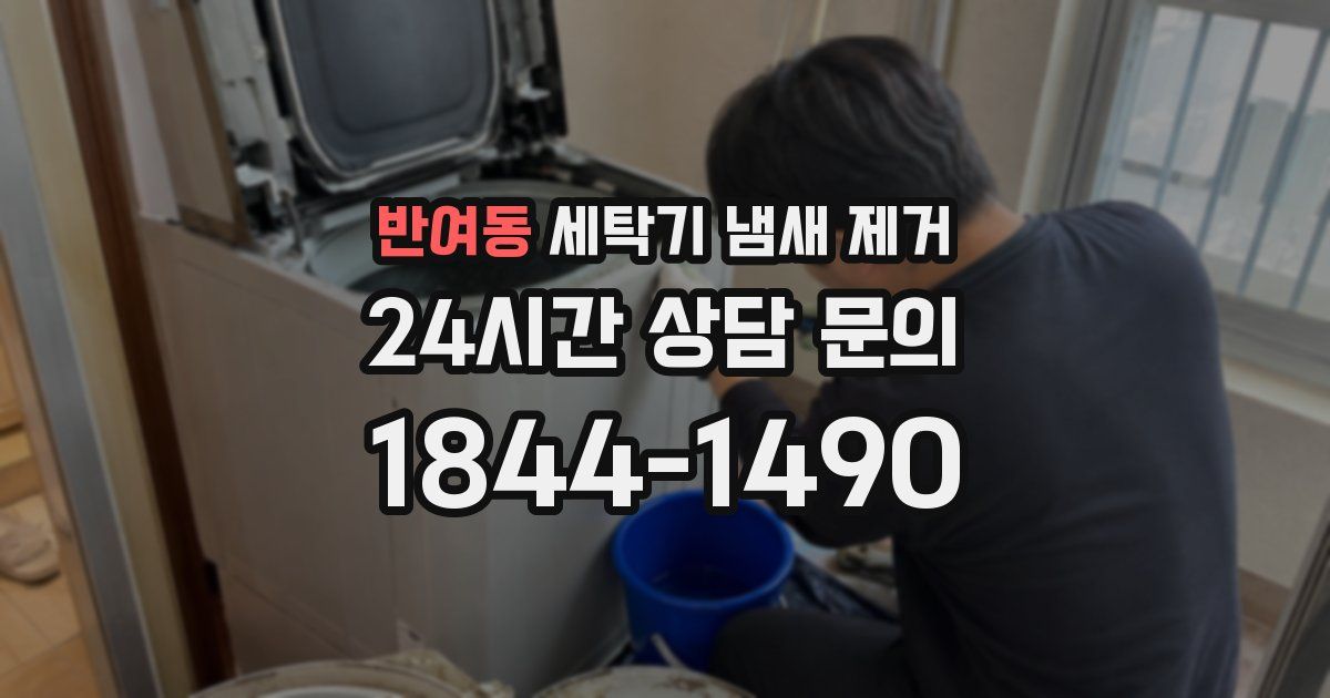 반여동 세탁기 냄새 제거