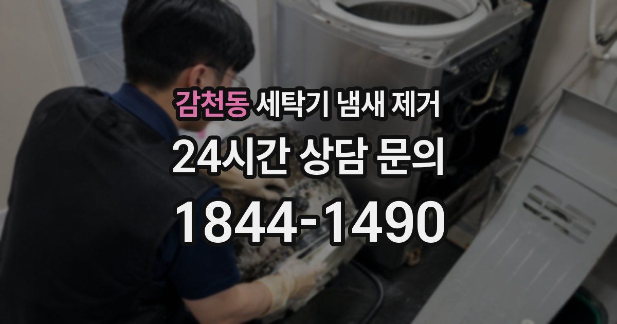 감천동 세탁기 냄새 제거