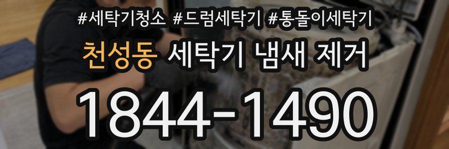 천성동 세탁기 냄새 제거