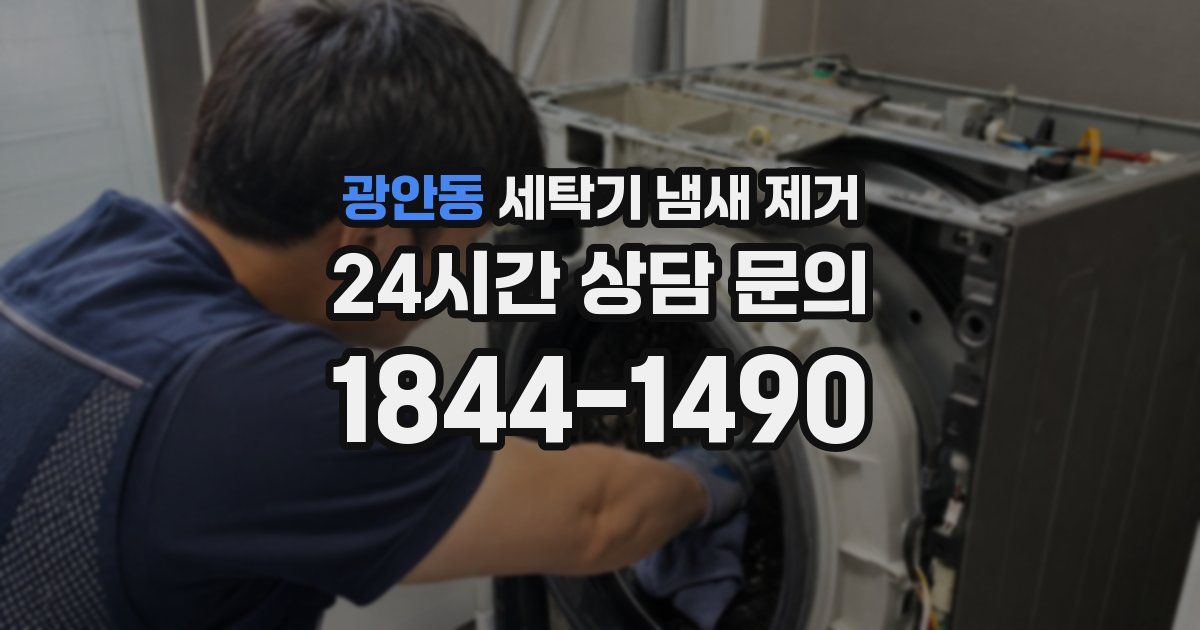 광안동 세탁기 냄새 제거