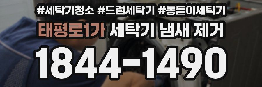 태평로1가 세탁기 냄새 제거