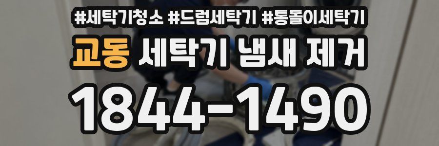 교동 세탁기 냄새 제거