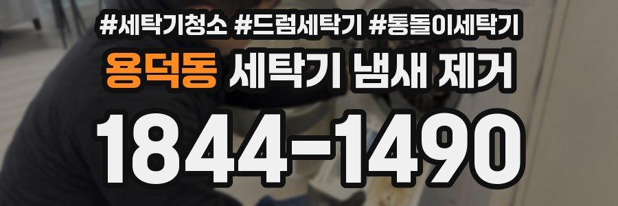 용덕동 세탁기 냄새 제거