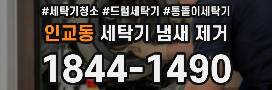 인교동 세탁기 냄새 제거