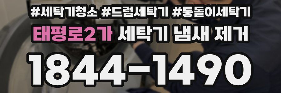 태평로2가 세탁기 냄새 제거