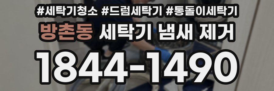 방촌동 세탁기 냄새 제거
