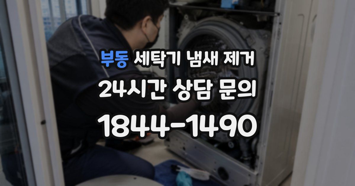 부동 세탁기 냄새 제거