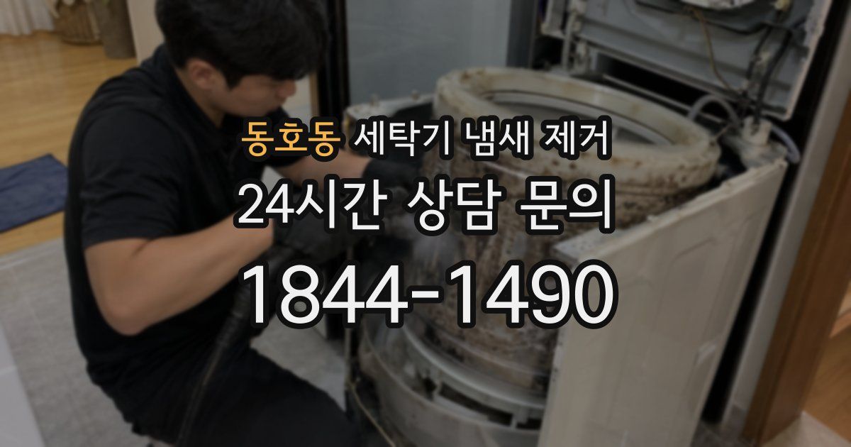 동호동 세탁기 냄새 제거