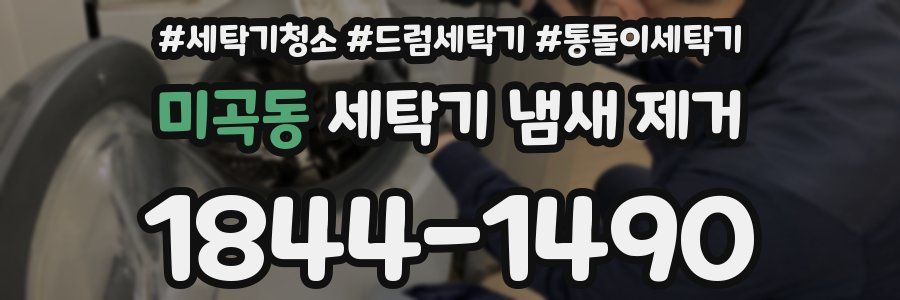 미곡동 세탁기 냄새 제거