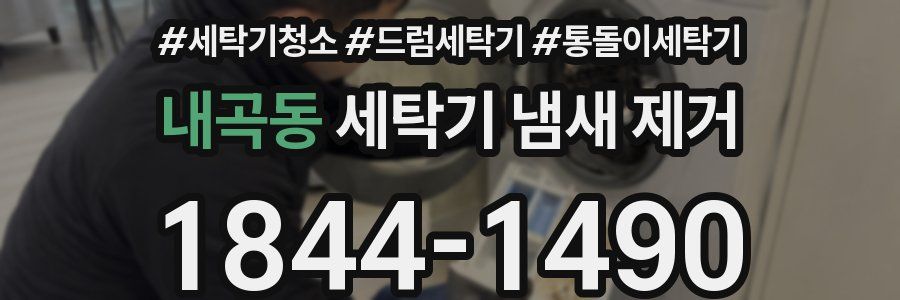 내곡동 세탁기 냄새 제거