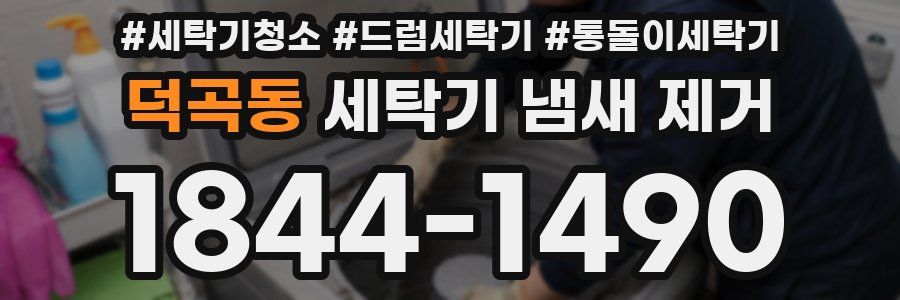 덕곡동 세탁기 냄새 제거