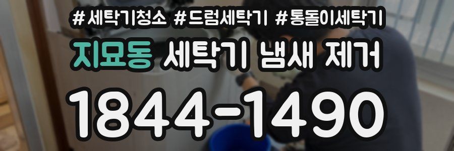 지묘동 세탁기 냄새 제거