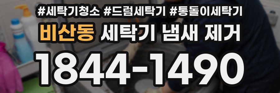 비산동 세탁기 냄새 제거