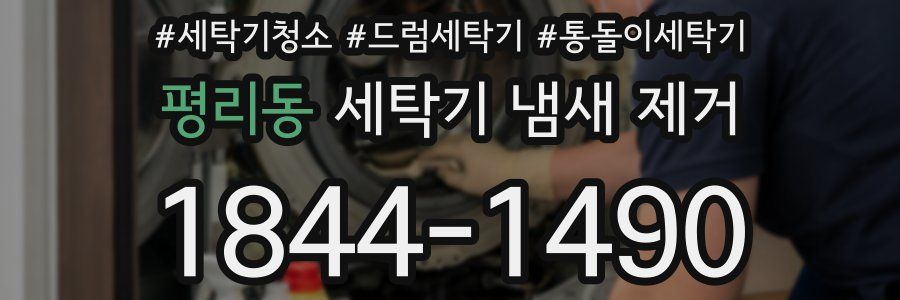 평리동 세탁기 냄새 제거