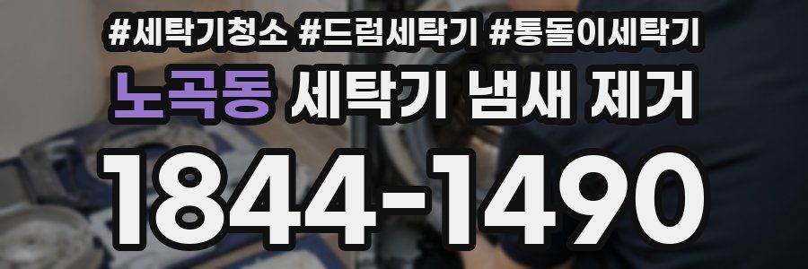 노곡동 세탁기 냄새 제거
