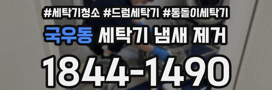 국우동 세탁기 냄새 제거