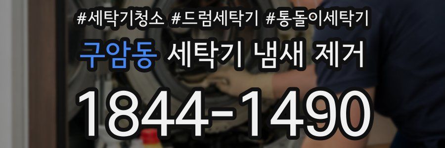 구암동 세탁기 냄새 제거
