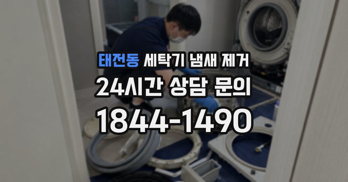 태전동 세탁기 냄새 제거