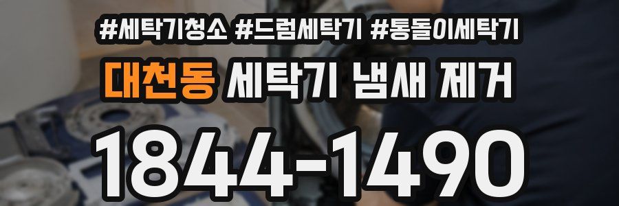 대천동 세탁기 냄새 제거