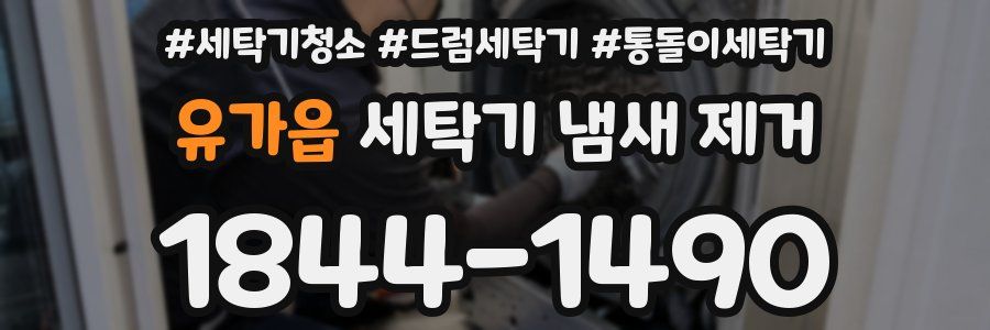 유가읍 세탁기 냄새 제거