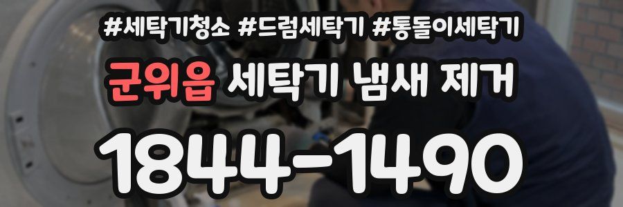 군위읍 세탁기 냄새 제거