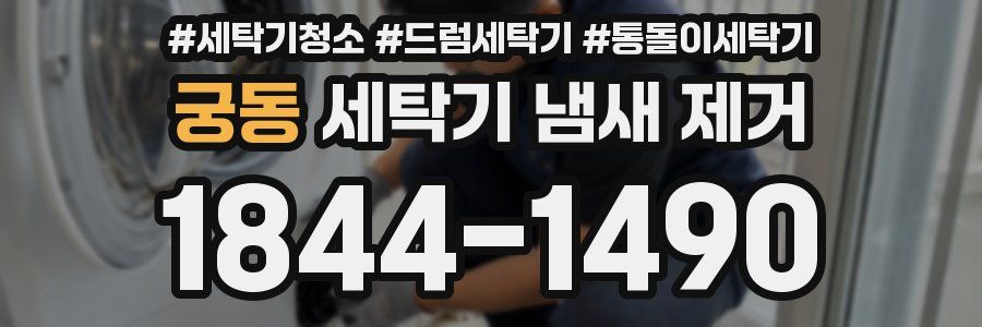 궁동 세탁기 냄새 제거