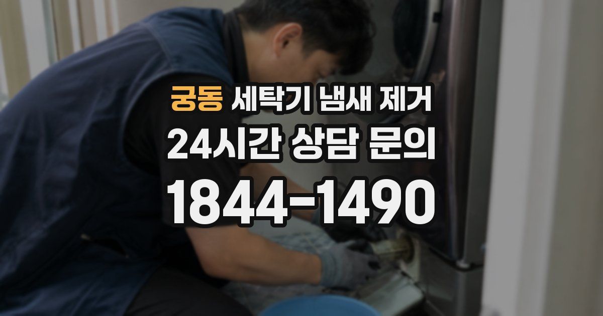 궁동 세탁기 냄새 제거