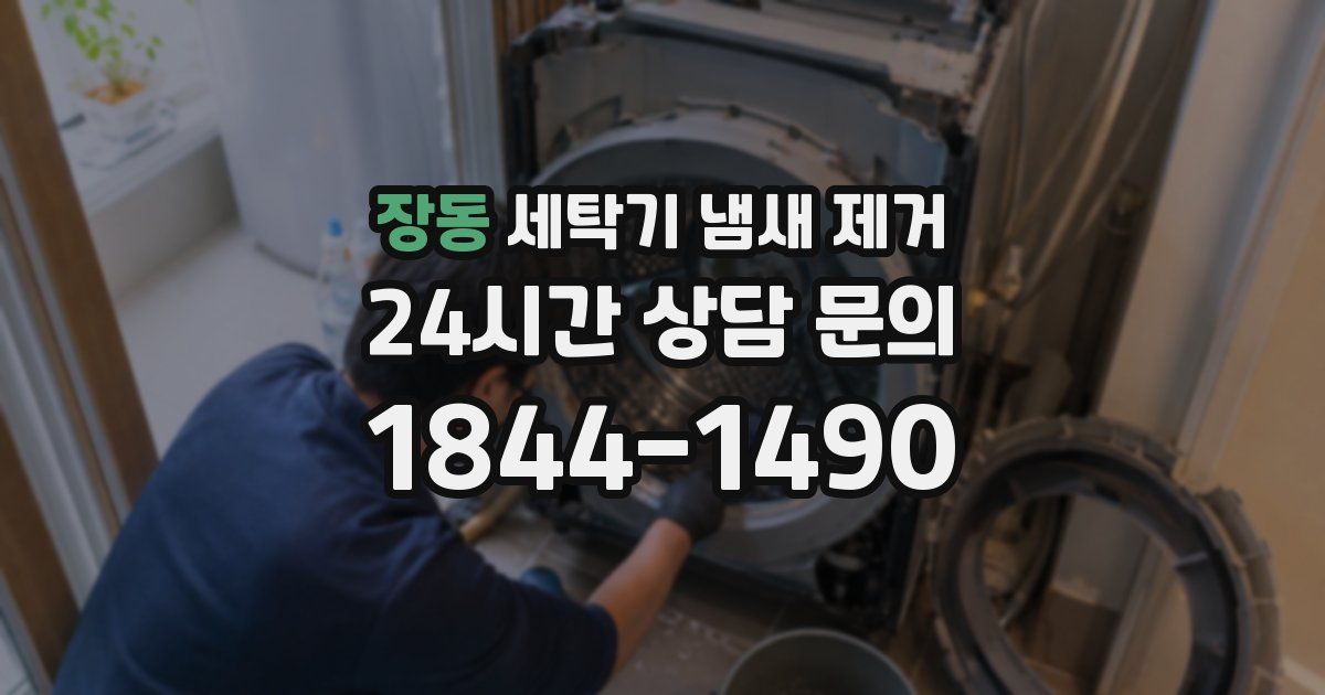 장동 세탁기 냄새 제거