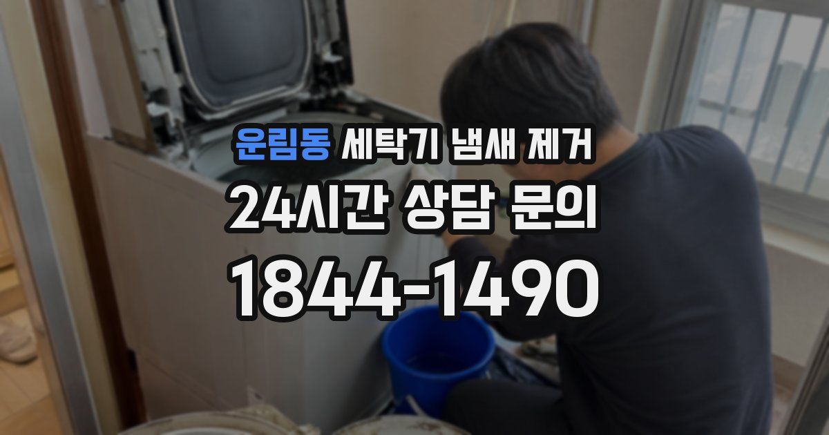 운림동 세탁기 냄새 제거