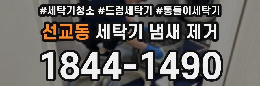 선교동 세탁기 냄새 제거