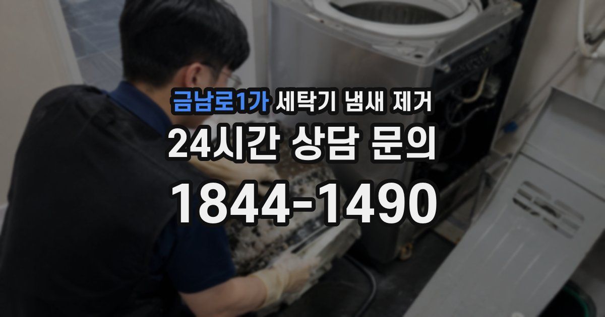 금남로1가 세탁기 냄새 제거