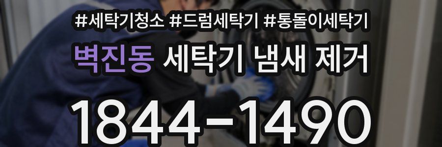 벽진동 세탁기 냄새 제거