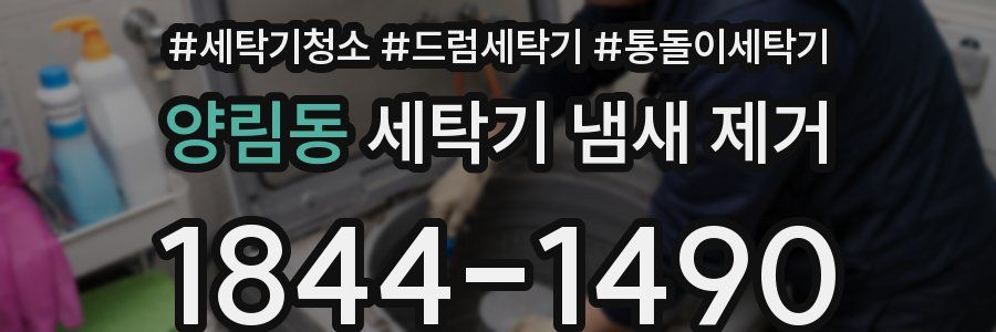 양림동 세탁기 냄새 제거