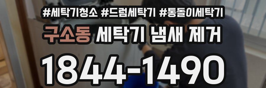 구소동 세탁기 냄새 제거