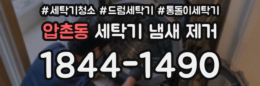 압촌동 세탁기 냄새 제거