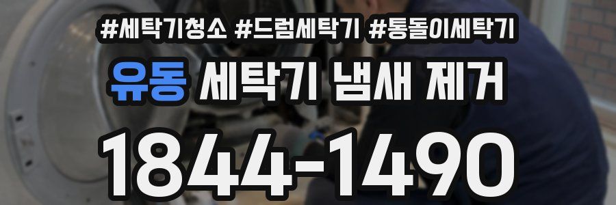 유동 세탁기 냄새 제거