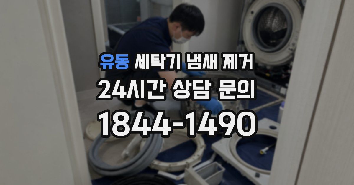 유동 세탁기 냄새 제거