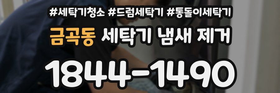 금곡동 세탁기 냄새 제거