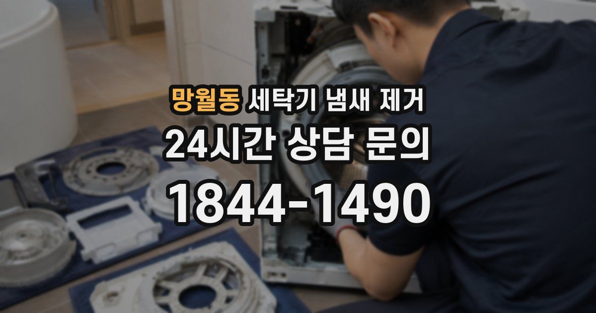 망월동 세탁기 냄새 제거