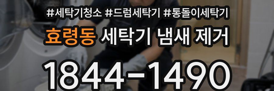 효령동 세탁기 냄새 제거