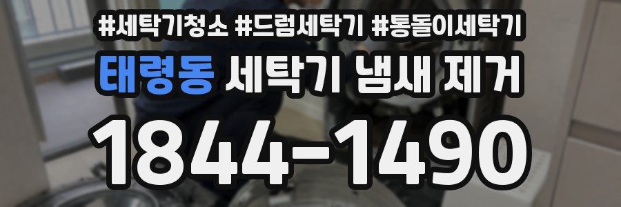 태령동 세탁기 냄새 제거