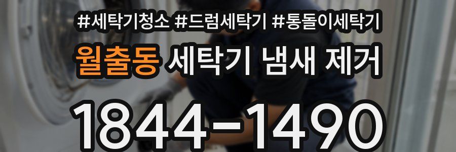 월출동 세탁기 냄새 제거