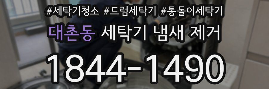 대촌동 세탁기 냄새 제거