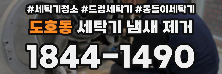 도호동 세탁기 냄새 제거