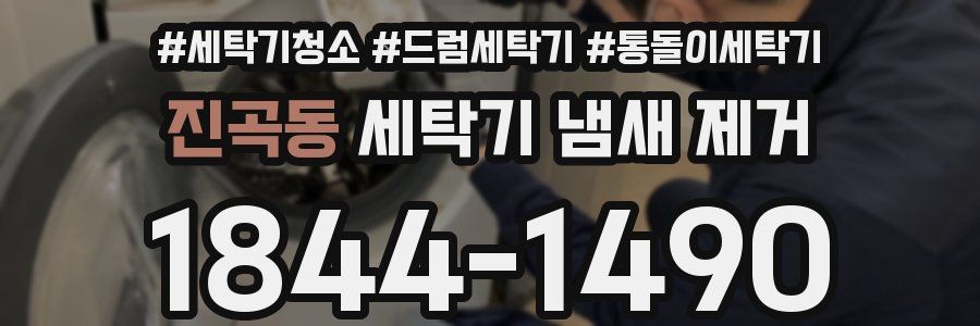 진곡동 세탁기 냄새 제거